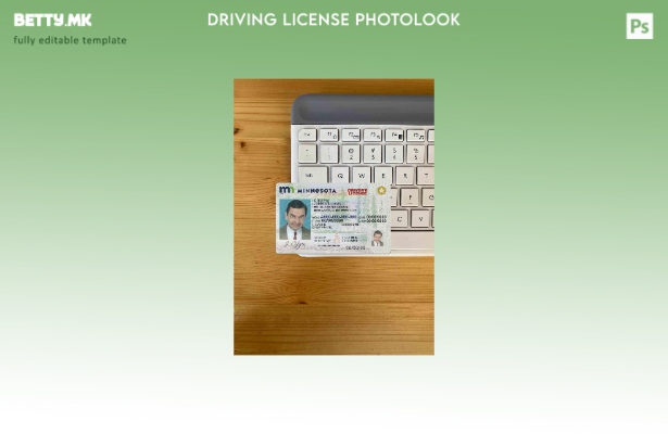 Модерен стил USA Minnesota DL photolook FRONT шаблон